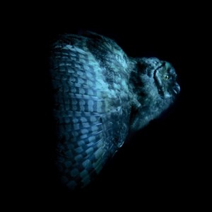 mondkopf-rising-doom