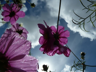 P1260255_SSKA38- copie