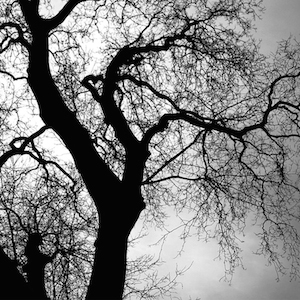 14anger_frozensouth_may2015 - copie