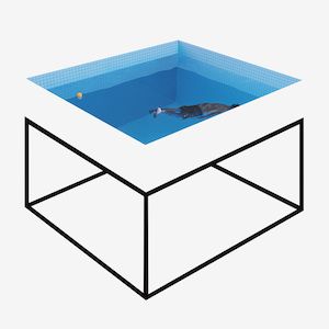 the-chap-the-show-must-go