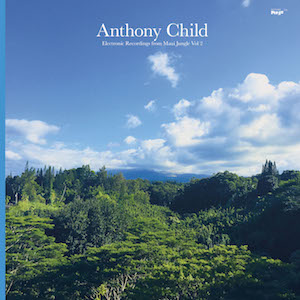 anthony-child_electronic-recordings-from-maui-jungle-vol-2-editions-mego